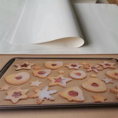 盘烘焙纸 加厚硅油纸烧烤吸油纸烤箱烤肉专用纸 方形吸油烘焙纸