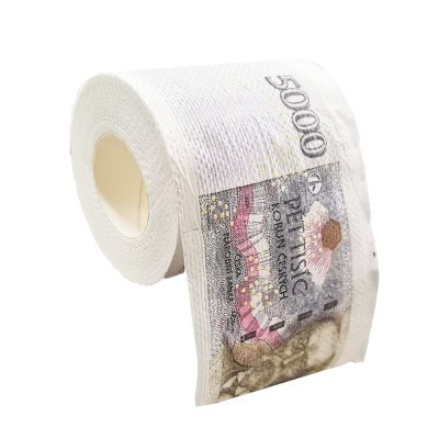 安友跨境捷克克朗创意可降解卷纸有芯200节双层印花派对日常纸巾