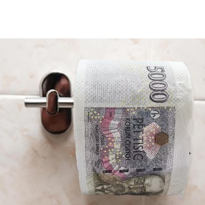 安友跨境捷克克朗创意可降解卷纸有芯200节双层印花派对日常纸巾图3