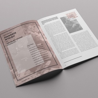 画册印刷 宣传册 企业手册 定制 免费设计 三折彩页 海报 杂志图2