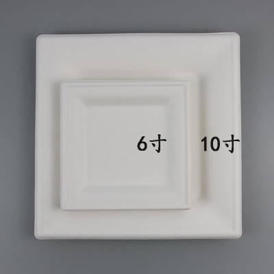 一次性甘蔗浆纸盘批发纸碟子6寸7寸8寸9寸10圆盘手工绘画盘幼儿园图3