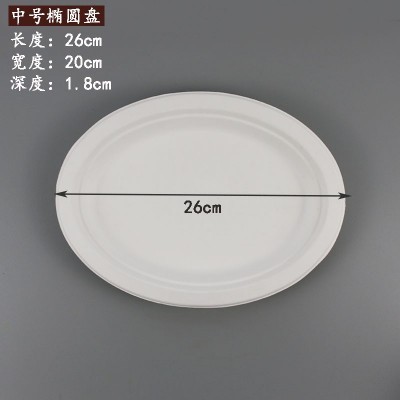 一次性甘蔗浆纸盘批发纸碟子6寸7寸8寸9寸10圆盘手工绘画盘幼儿园图4