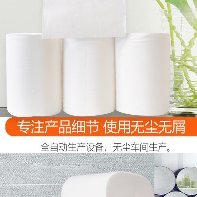 家用大卷5斤18卷实惠装无芯卷纸大量批湿水速溶两款包装随机发