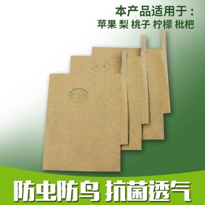 30x36枇杷套袋外黄内黑图3