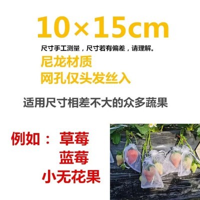 果树防虫网袋水果套袋防鸟纱网袋保护葡萄袋无花果番石榴草莓批发