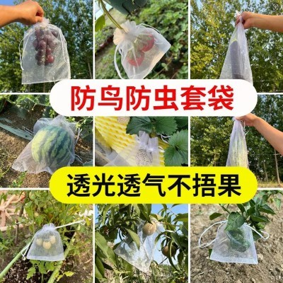 果树防虫网袋水果套袋防鸟纱网袋保护葡萄袋无花果番石榴草莓批发图3
