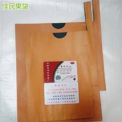 供应枇杷果袋 大棚水果纸袋 果树保鲜袋尺寸可调节