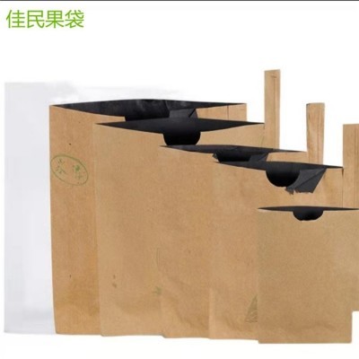 供应枇杷果袋 大棚水果纸袋 果树保鲜袋尺寸可调节图5