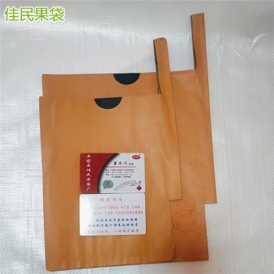 供应枇杷果袋 大棚水果纸袋 果树保鲜袋尺寸可调节图4