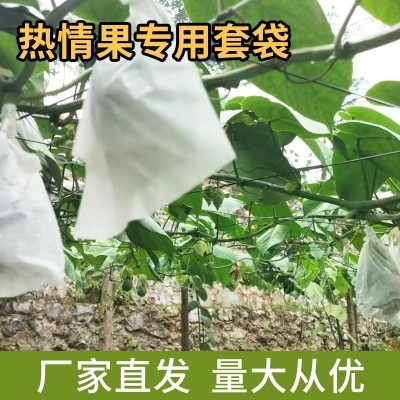 热情果专用套袋水果袋防晒防雨水防尘防虫批发哥伦比亚热情果套袋图4