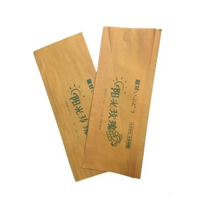 大金源厂家生产果品套袋阳光玫瑰葡萄套袋 多种规格 量大价优图2