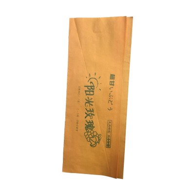 大金源厂家生产果品套袋阳光玫瑰葡萄套袋 多种规格 量大价优图3