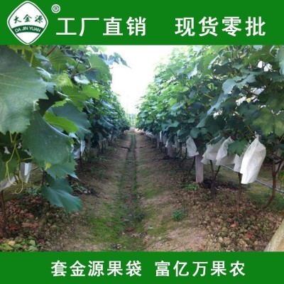 大金源牌葡萄套袋 全木浆水果套袋 防虫防菌可订 制批发厂家直供