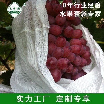 大金源牌葡萄套袋 全木浆水果套袋 防虫防菌可订 制批发厂家直供图2