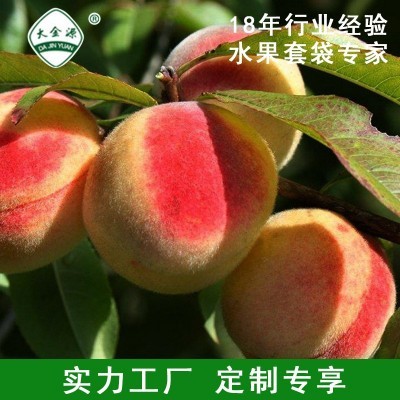 供应大金源牌生物套袋+膜果袋 苹果套袋水果袋 厂家生产 量大从优图2
