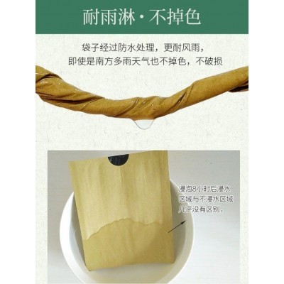 厂家供应 桃袋 桃专用套袋 环保防虫杀菌梨套袋 水果套