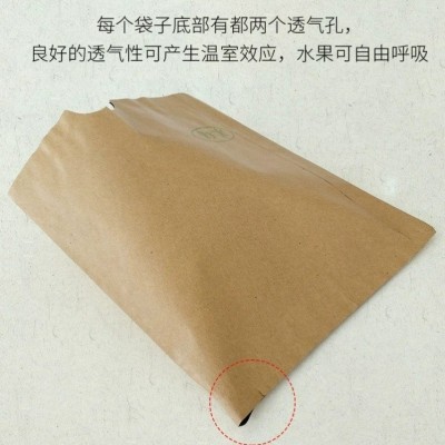 厂家供应 梨袋 梨专用套袋 环保防虫杀菌梨套袋 水果套袋图2