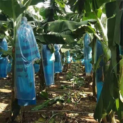 供应香蕉纸袋 纸塑复合袋 防潮印刷食品保鲜袋图5