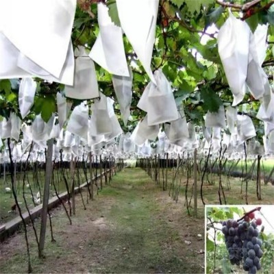 葡萄套袋 大棚露天单层白色疏水纸袋葡萄防虫果树育果保护袋葡萄果袋图2
