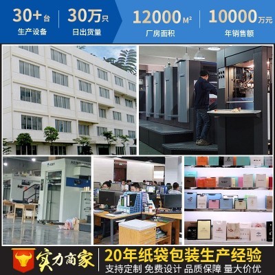 服装店手提袋礼物袋批发礼品袋高级感纸袋子加厚白卡手提纸袋定制图5