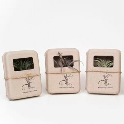 纸浆模塑干压 饰品纸盒子 通用礼品纸盒 环保纸盒 现货批发图2