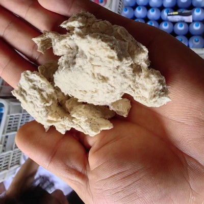 100克/g木浆原浆 原木脱水纸浆 教学造纸用纸浆