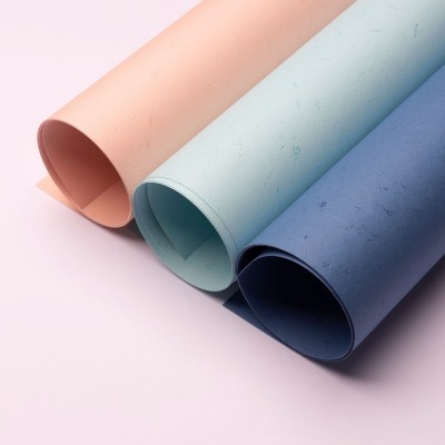 印尼皮纹纸卡纸布纹纸彩色纸封面纸787花纹纸艺术纸广告印刷大度图4