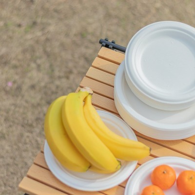 一次性环保甘蔗浆可降解纸碟烧烤生日蛋糕盘加厚餐盘美术绘画盘子图3