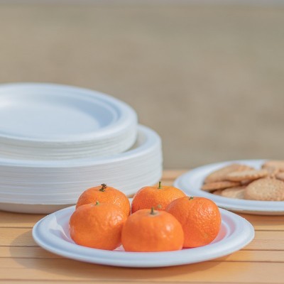 一次性环保甘蔗浆可降解纸碟烧烤生日蛋糕盘加厚餐盘美术绘画盘子图4