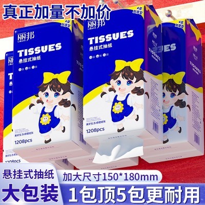 丽邦提挂式抽纸悬挂抽取式卫生纸家用擦手纸厕纸大包平板卫生纸巾
