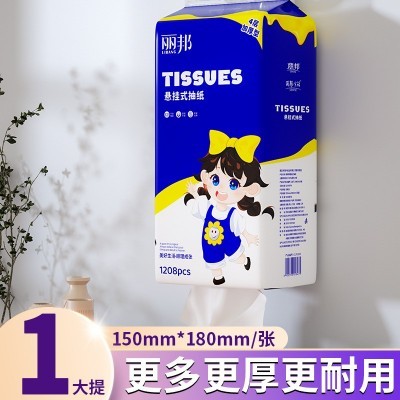 丽邦提挂式抽纸悬挂抽取式卫生纸家用擦手纸厕纸大包平板卫生纸巾图4