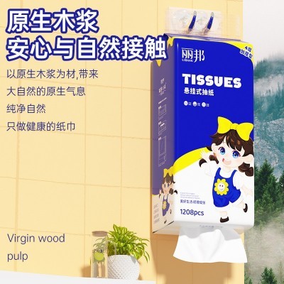 丽邦提挂式抽纸悬挂抽取式卫生纸家用擦手纸厕纸大包平板卫生纸巾图3