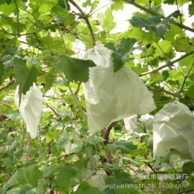 厂家批发葡萄袋子防虫袋露天葡萄套袋套葡萄用纸袋育果袋图5