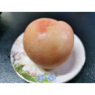 220/1万个14.5X17无铁丝无字亮面在外水蜜桃水果套袋厂家直供图5