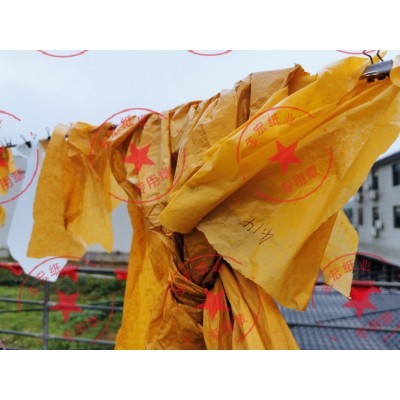 320/一万个厚A水果套袋黄单层桃袋厂家直供图3