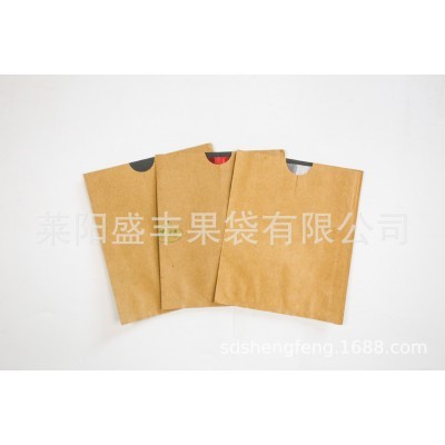 【盛丰】苹果套袋防鸟虫防水育果袋单双层苹果保护套袋图5