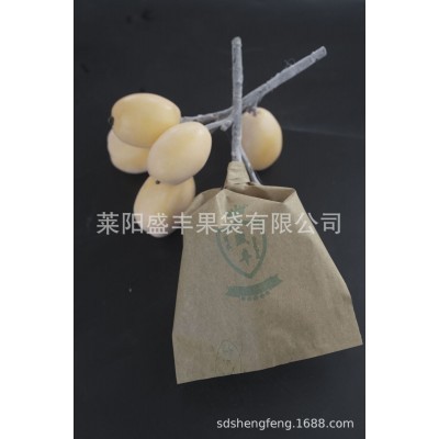 【盛丰】枇杷芒果专用纸袋高档水果保护套袋防鸟虫单双层水果套袋图5