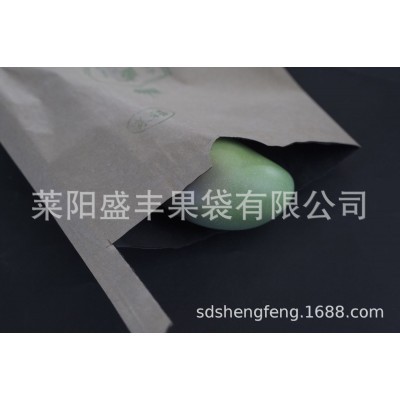 【盛丰】枇杷芒果专用纸袋高档水果保护套袋防鸟虫单双层水果套袋图4