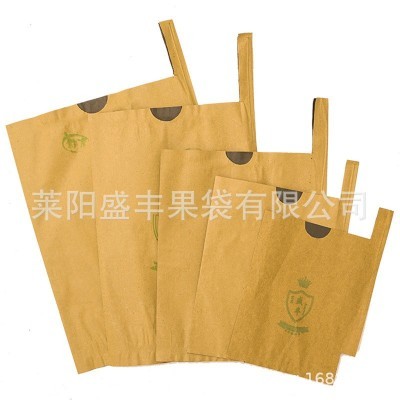 【盛丰】枇杷芒果专用纸袋高档水果保护套袋防鸟虫单双层水果套袋图2
