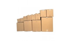 金光纸业集团翟京丽：对中国市场保持高度信心，与中国市场共同成长｜“大家”说峰会