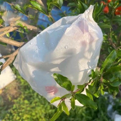 单白套袋防水防虫防鸟专用袋水果套袋橙子柑橘石榴纸袋包 果袋果树