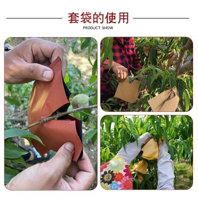雨桃子番石榴袋批发包装双层蟠桃纸袋水葡萄枇杷套袋桃袋 水果套袋图3