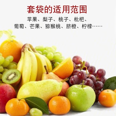 雨桃子番石榴袋批发包装双层蟠桃纸袋水葡萄枇杷套袋桃袋 水果套袋图2