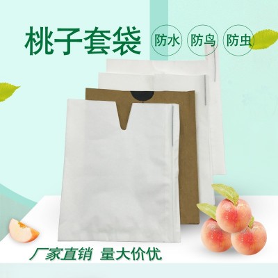 桃子专用套袋 水蜜桃袋 厂家供应 量大从优 育果袋