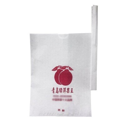 青岛厂家销售柑橘脐橙套袋防鸟虫育果袋 柑橘套袋批发可印logo图2