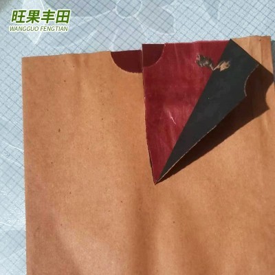 批发桃子水果套袋185*150黄桃平口果袋水蜜桃蟠桃套袋包装育果袋图3