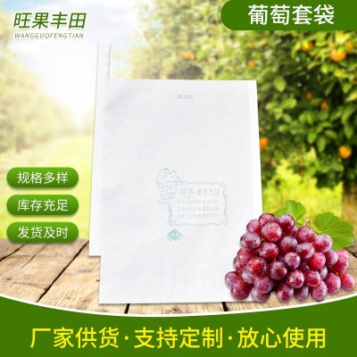 四川巨峰提子用白色单层葡萄套袋34*25 包装纸袋口厂家批发