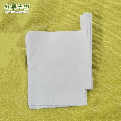 刀把口柑橘袋子 白色水果育果套袋纸袋子 农果园地用柑橘袋批发图4