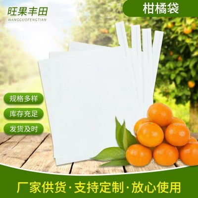 刀把口柑橘袋子 白色水果育果套袋纸袋子 农果园地用柑橘袋批发图3