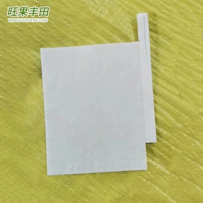 刀把口柑橘袋子 白色水果育果套袋纸袋子 农果园地用柑橘袋批发图2